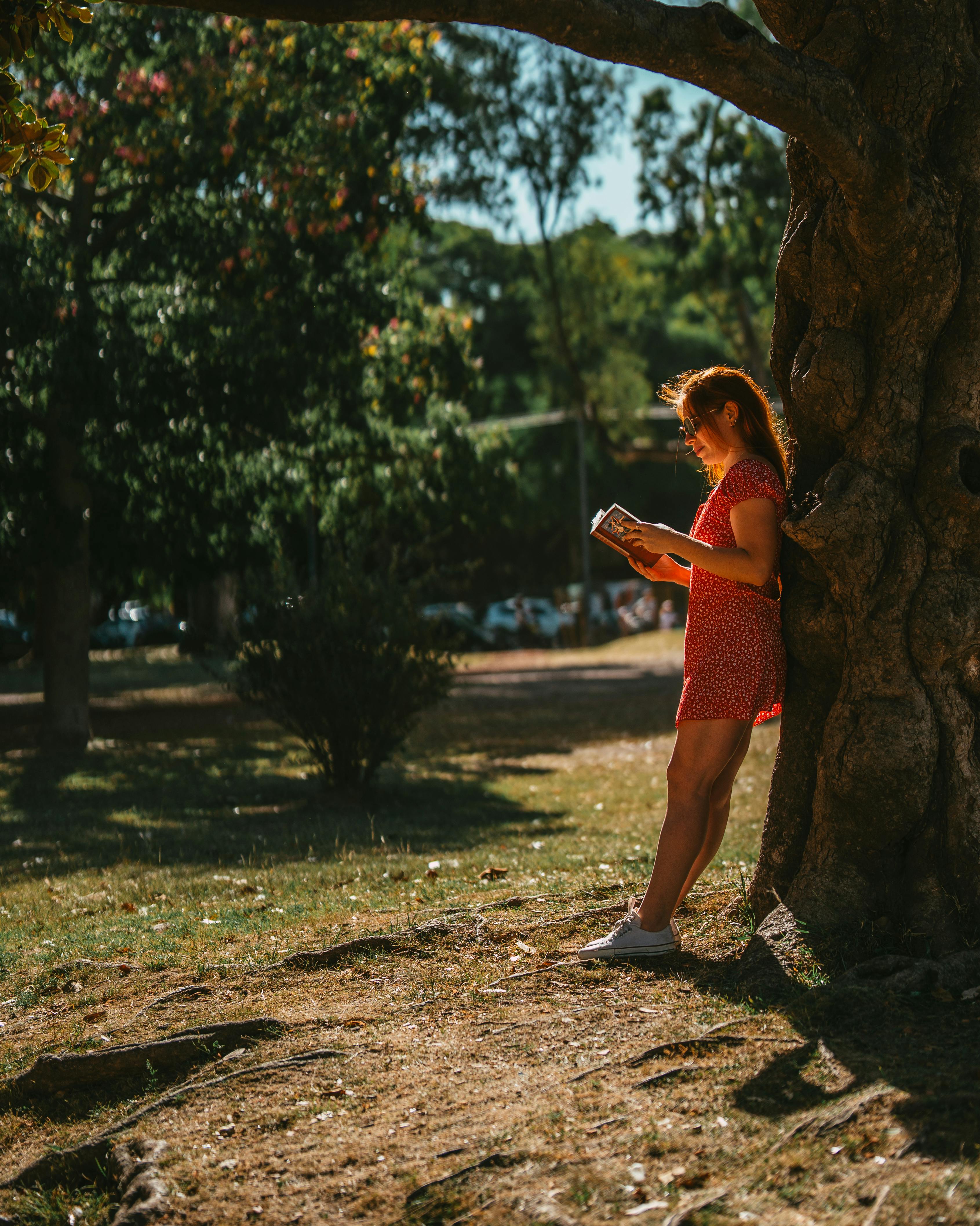 무료 개인적인 순간, 개인적인 시간, 고독의 무료 스톡 사진