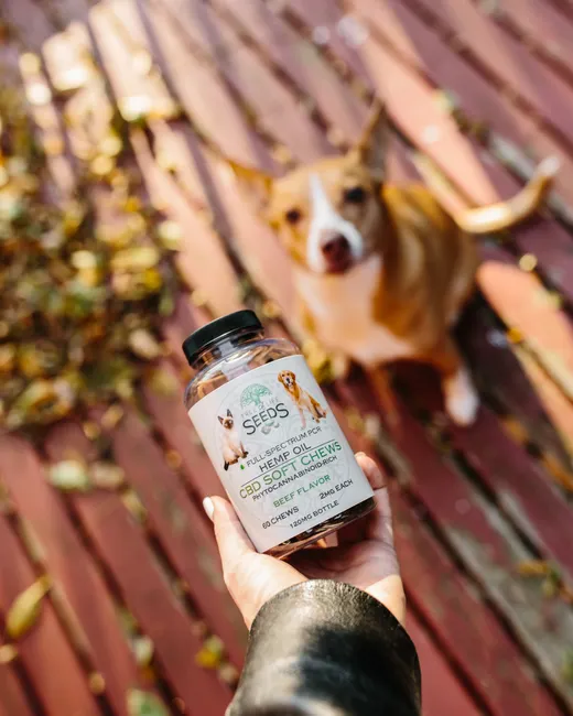 joint supplements for dogs