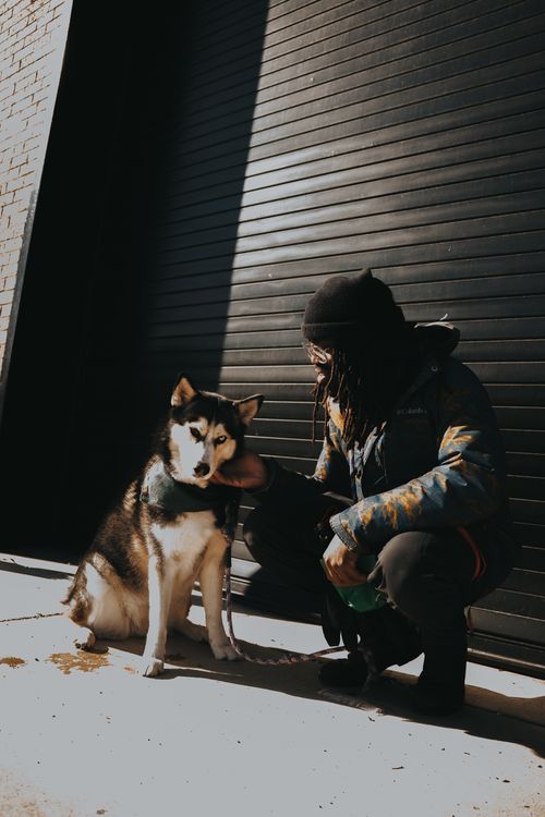 Free Man and Siberian Husky pose outdoors in Baltimore, showcasing a warm companionship. Stock Photo