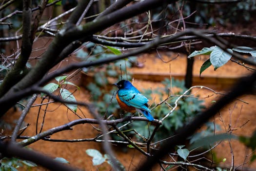 Free stock photo of 4k wallpaper, abstract wallpaper, aesthetic wallpaper