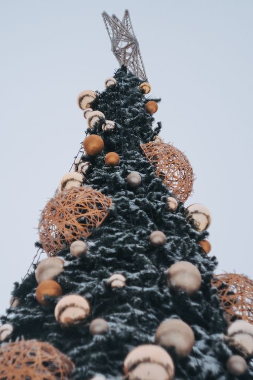 Free Festively decorated outdoor Christmas tree adorned with snowy ornaments and a star topper. Stock Photo