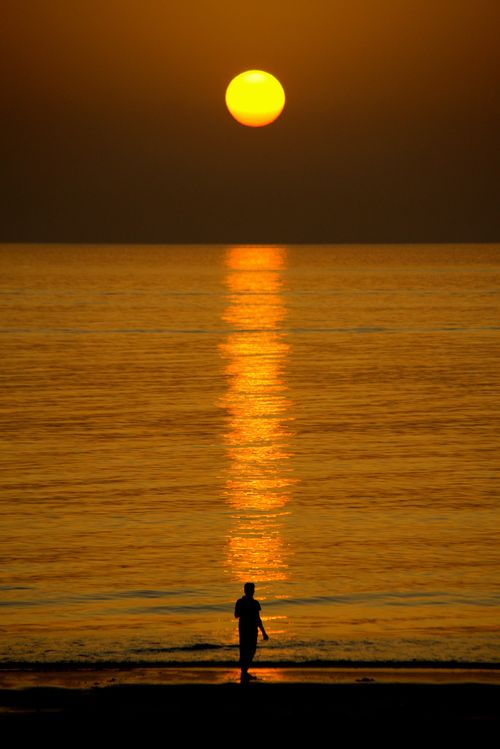 Free Serene sunrise on As Sifah Beach, Oman with a lone silhouette reflecting against the ocean. Stock Photo