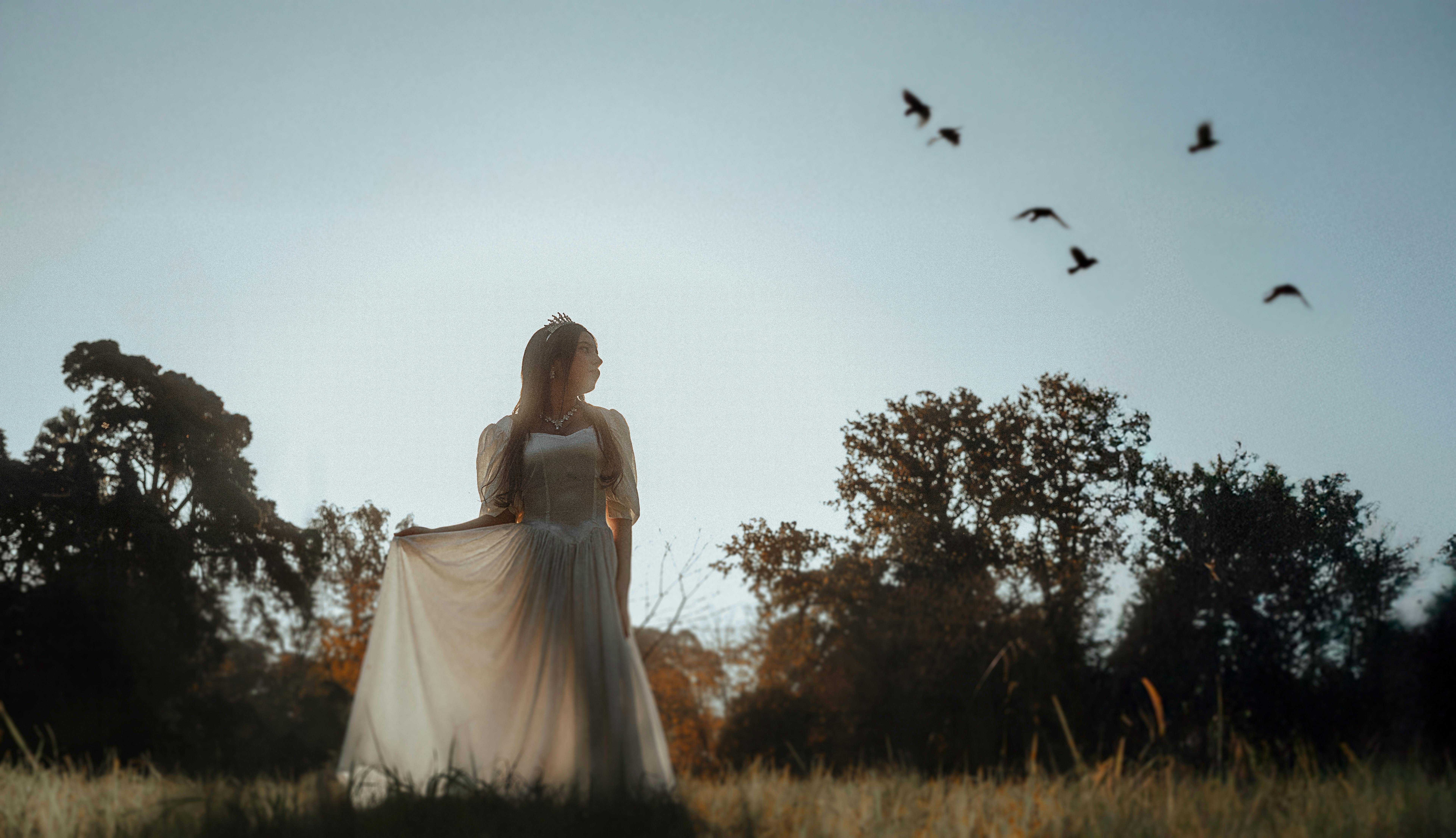 A woman in a flowing dress stands gracefully in a field at twilight, accompanied by birds.