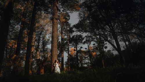 Free A single woman in a white dress stands among tall trees in a peaceful forest. Stock Photo