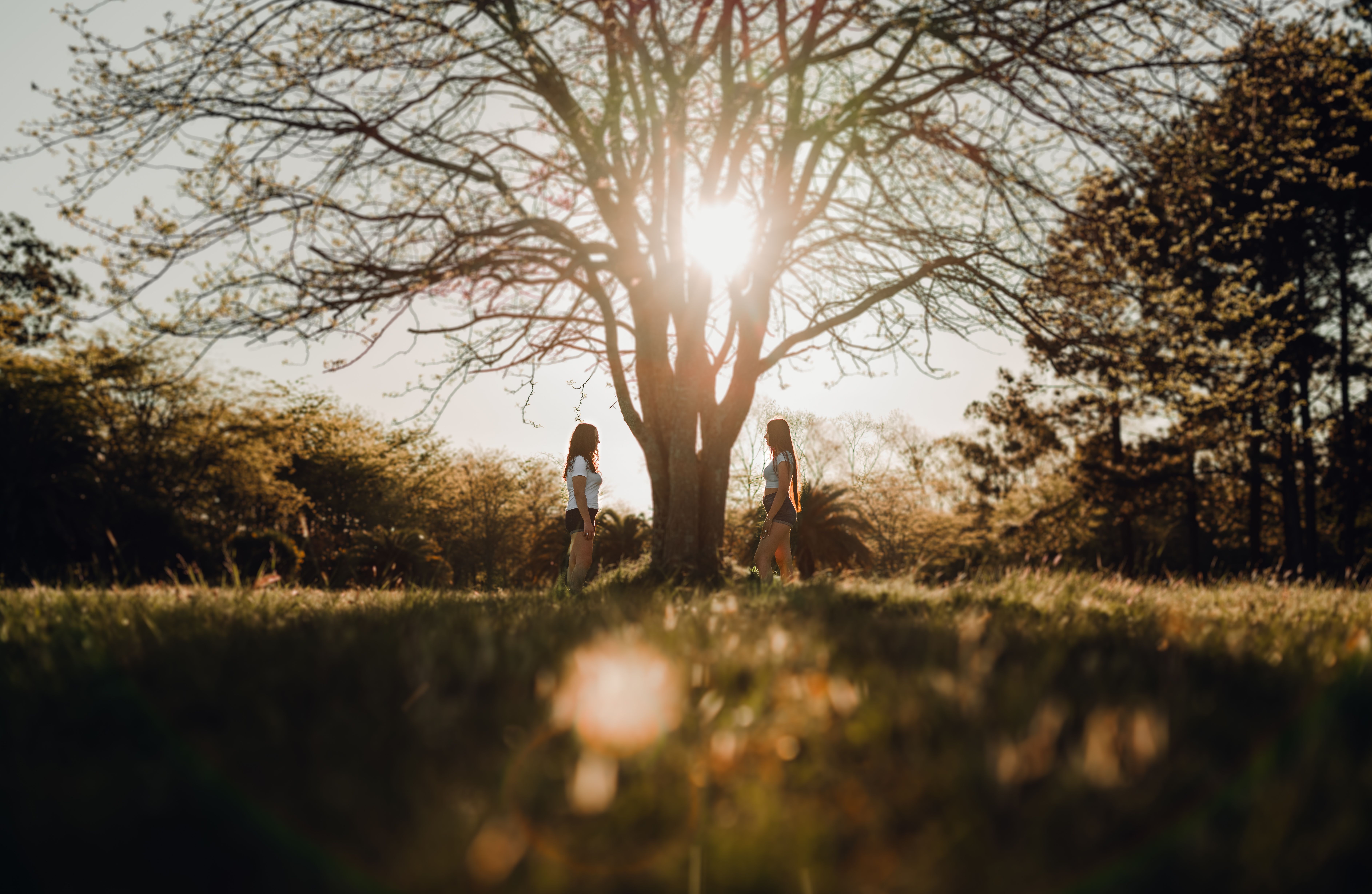 Two Women Strolling in Sunlit Park in Spring · Free Stock Photo
