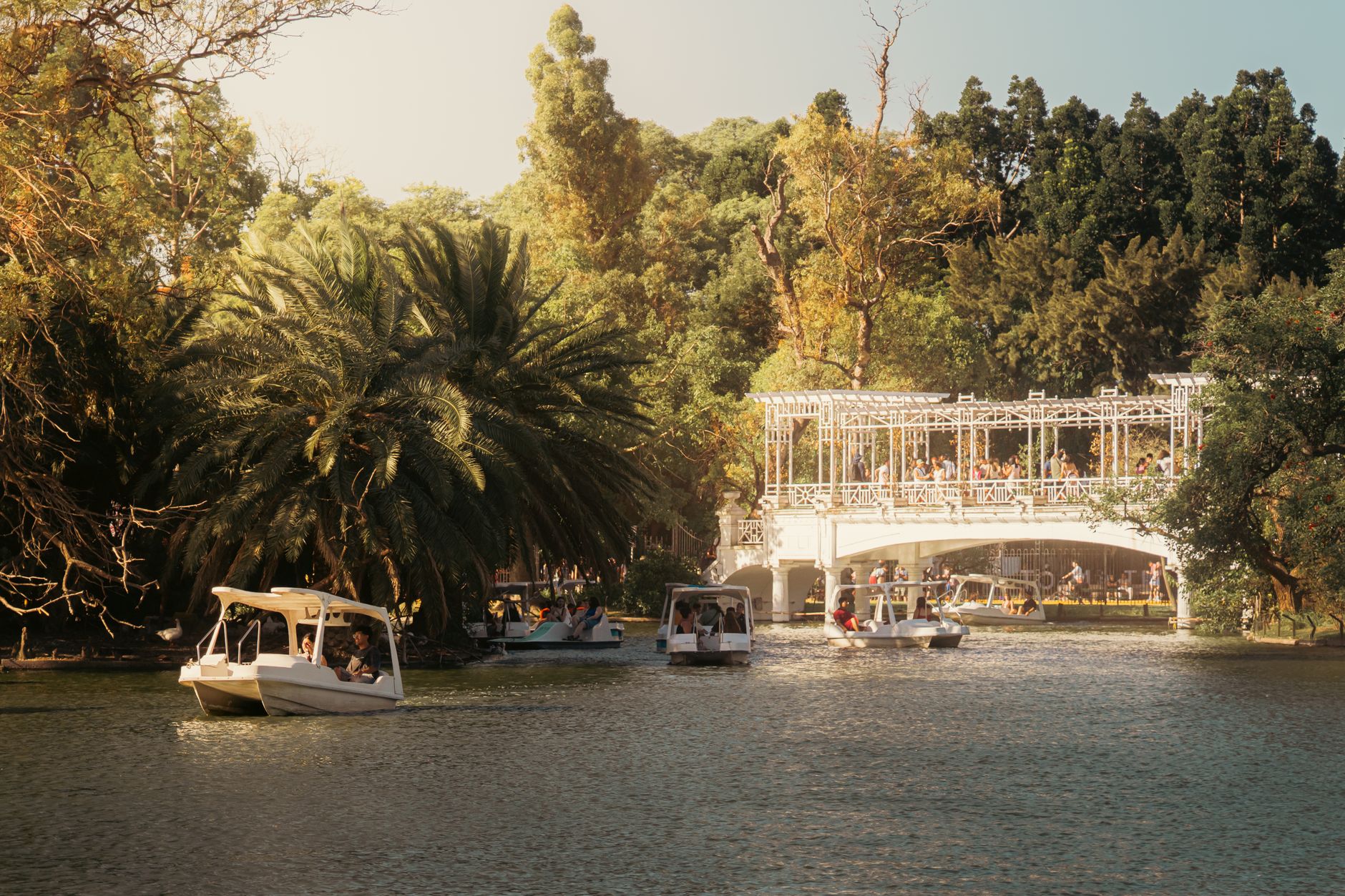 Palermo Rose Garden Sunset Picnic