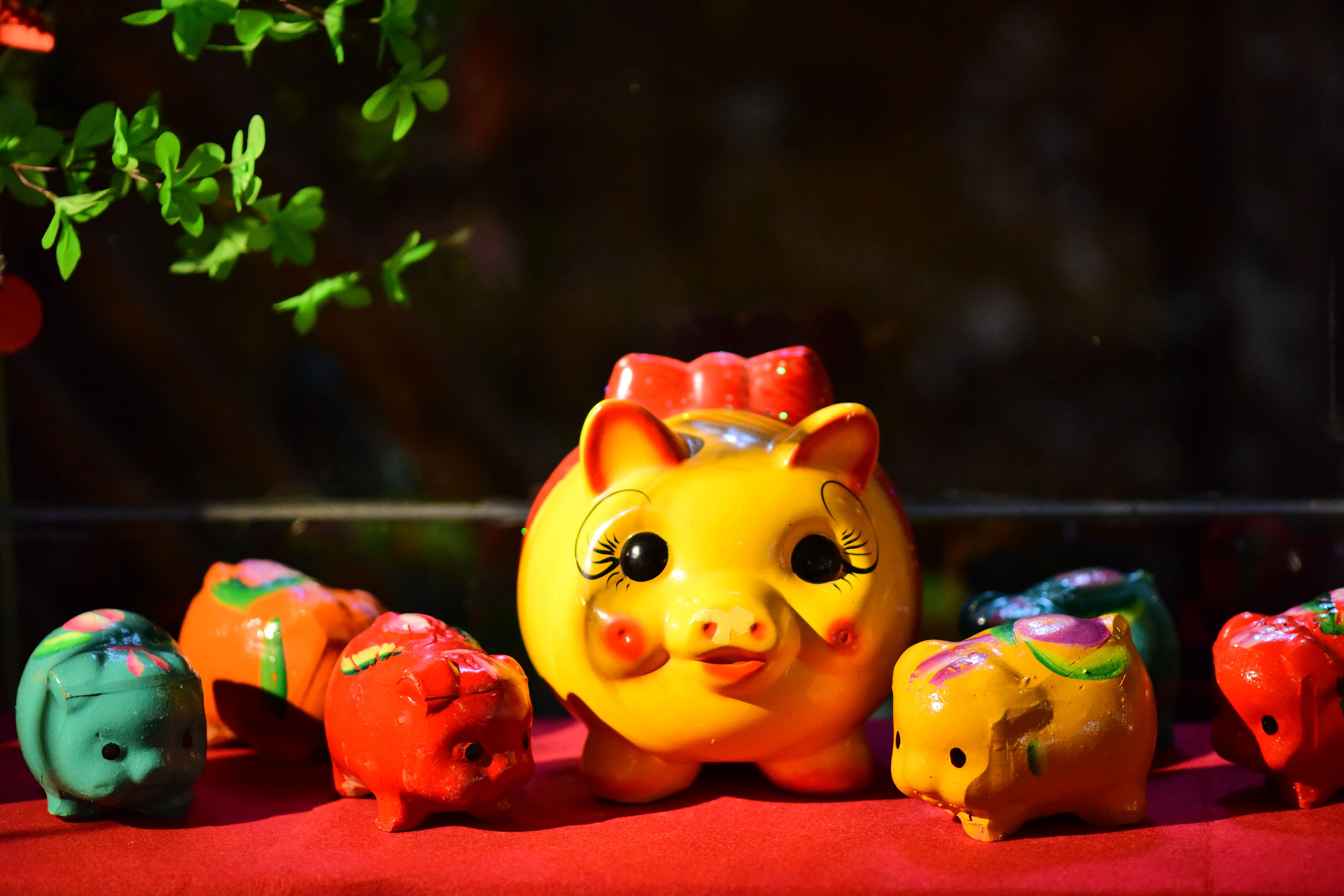 pigwealth