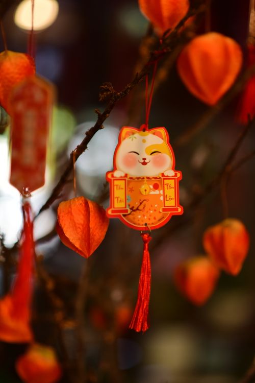 Free A vibrant orange lantern with a lucky cat charm adds festive cheer. Ideal for holiday themes. Stock Photo