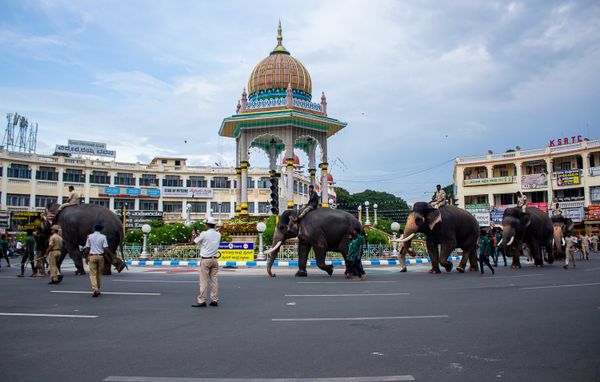 Transfer / Travel in Mysore