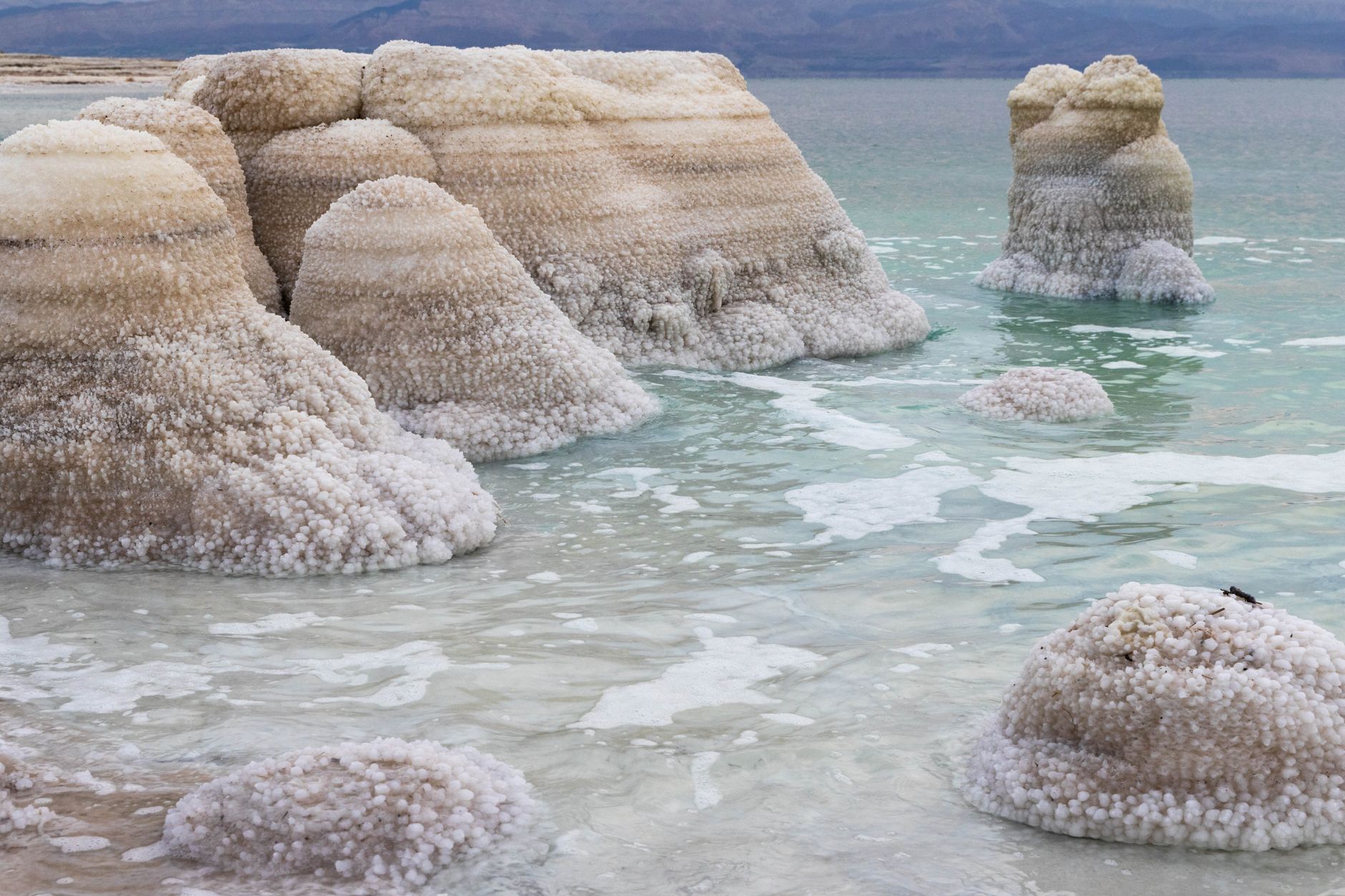 Unique salt formations in the Dead Sea create a stunning natural landscape.