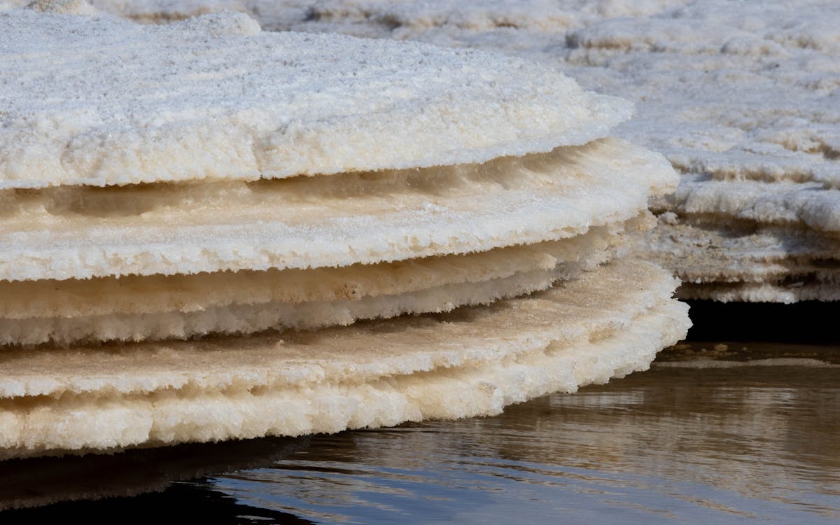 Close-up of salt formations by the Dead Sea showcasing natural layers and textures.
