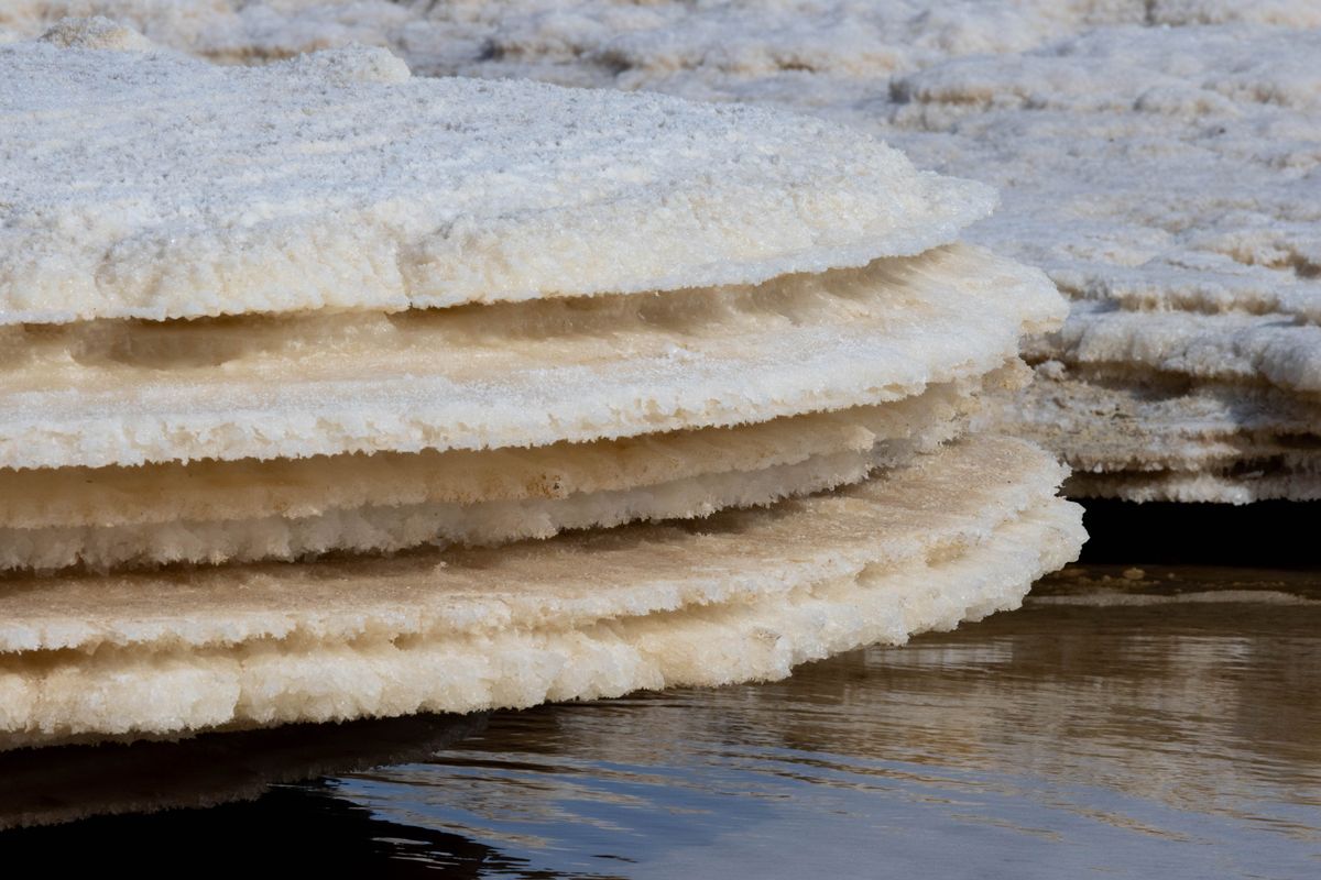 Salt crystal formations on the Dead Sea shore — a landscape shaped by water ten times saltier than the ocean.