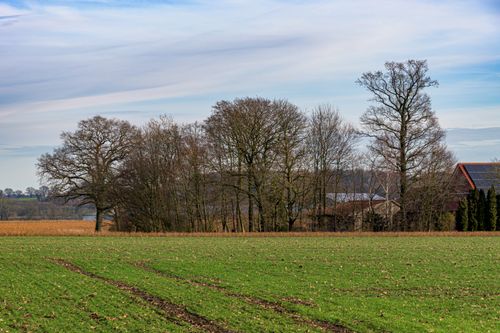 Free Idyllic rural landscape with bare trees and fields in Coesfeld, NRW. Stock Photo