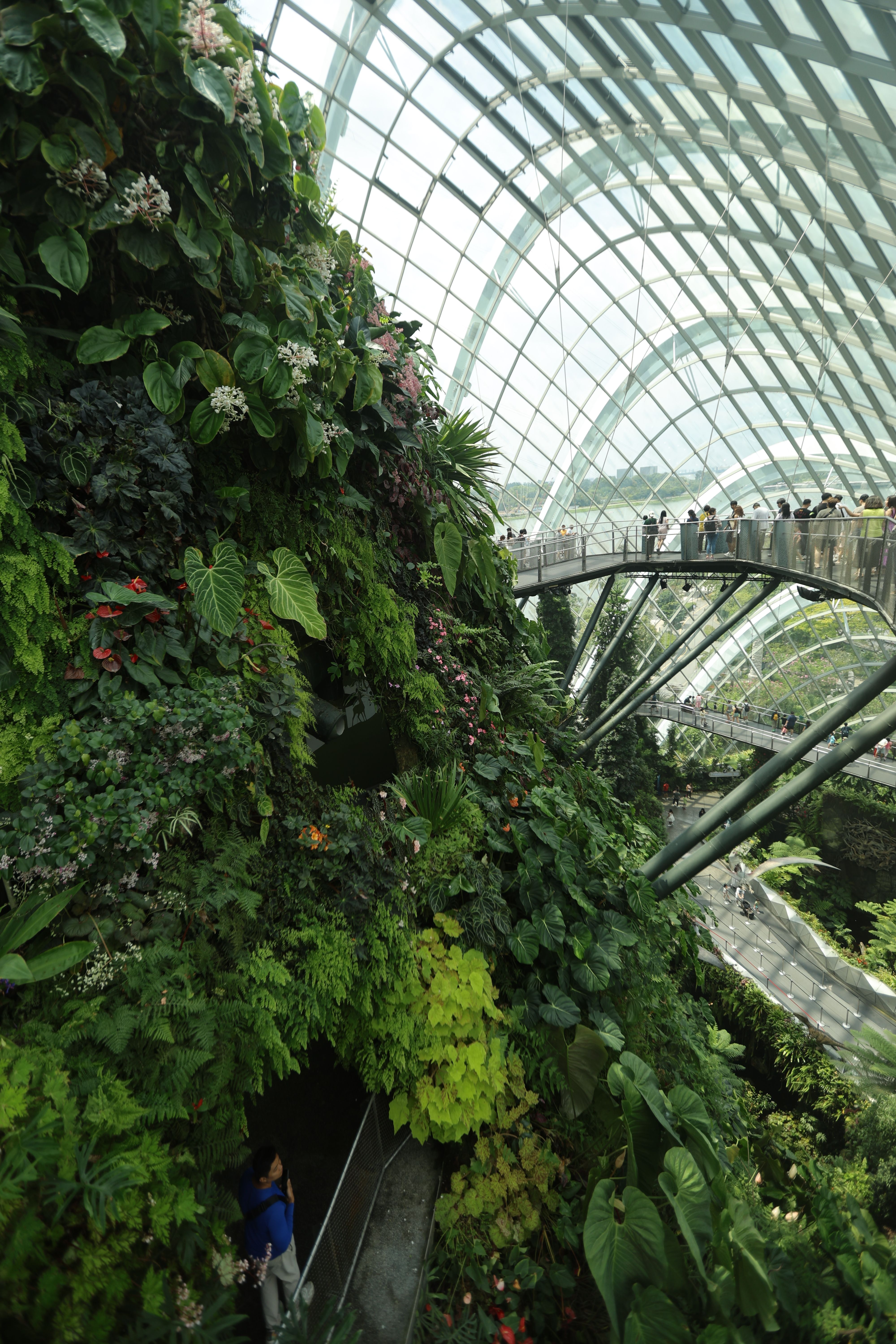 Lush Botanical Display in Modern Glass Atrium · Free Stock Photo