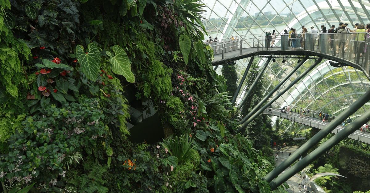 Spring Atrium Display Lush Botanical Display in Modern Glass Atrium · Free Stock Photo