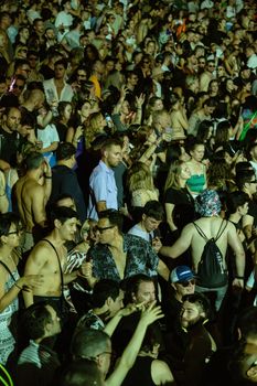 Vibrant crowd captured at a lively outdoor concert, showcasing diverse attendees enjoying the music.