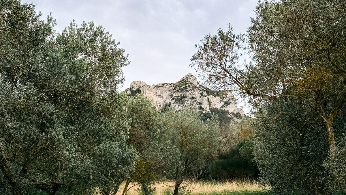 Les 10 plus belles boucles de randonnée à faire autour du Pic Saint-Loup