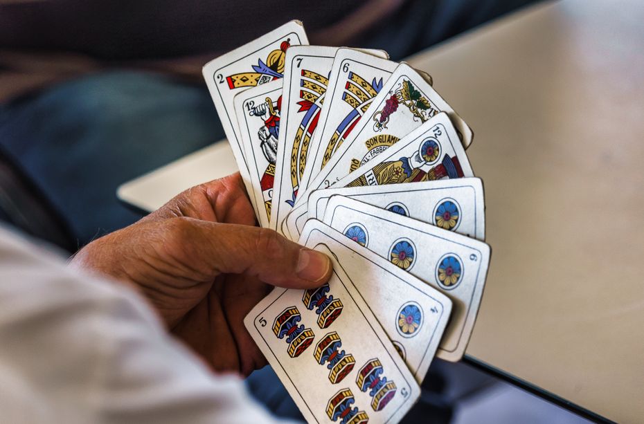 Online Casino: Spielautomaten und Live-Spiele im Überblick