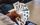 card game