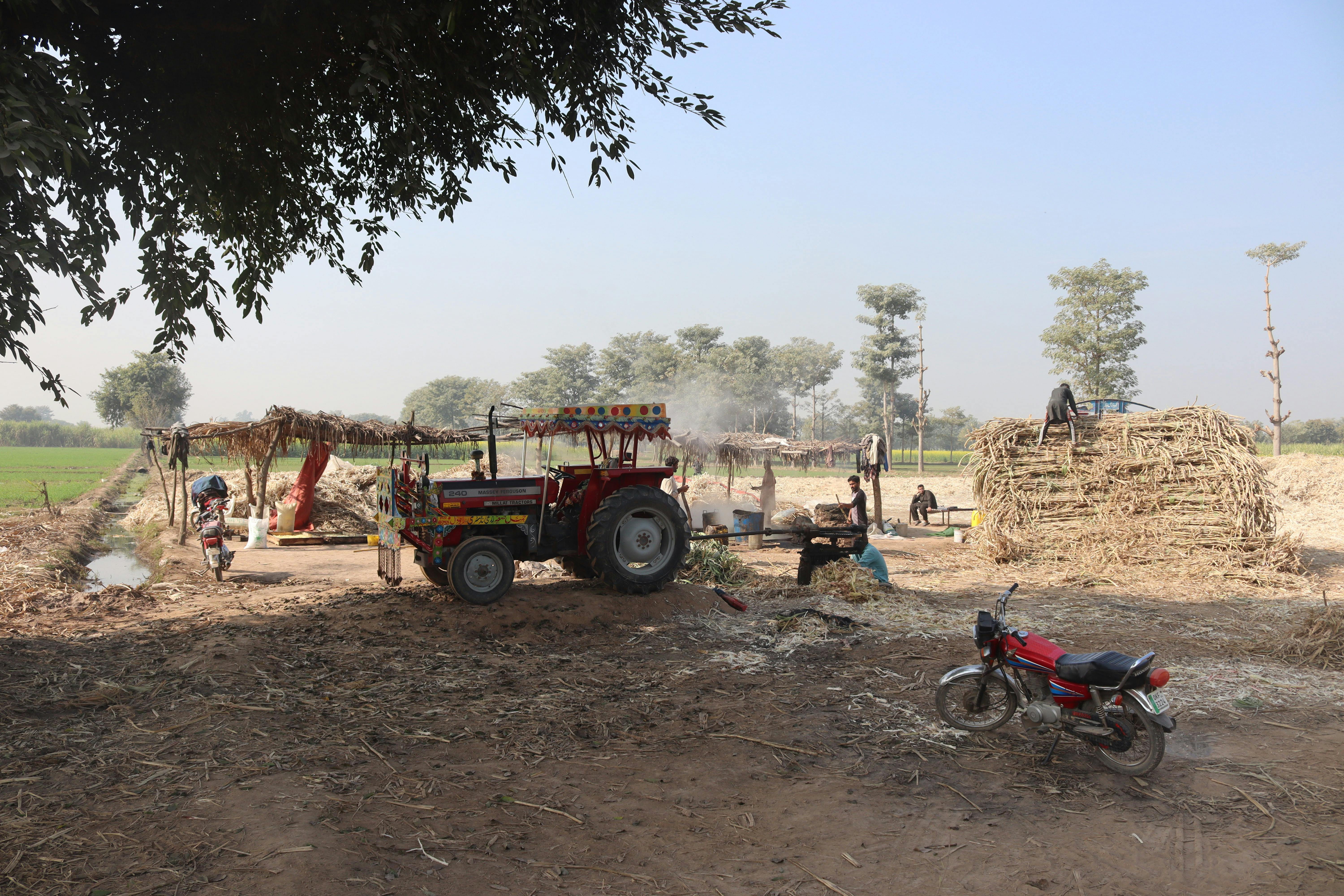 Many farmers utilize life insurance for farm financing — Photo by Dr Photographer on Pexels