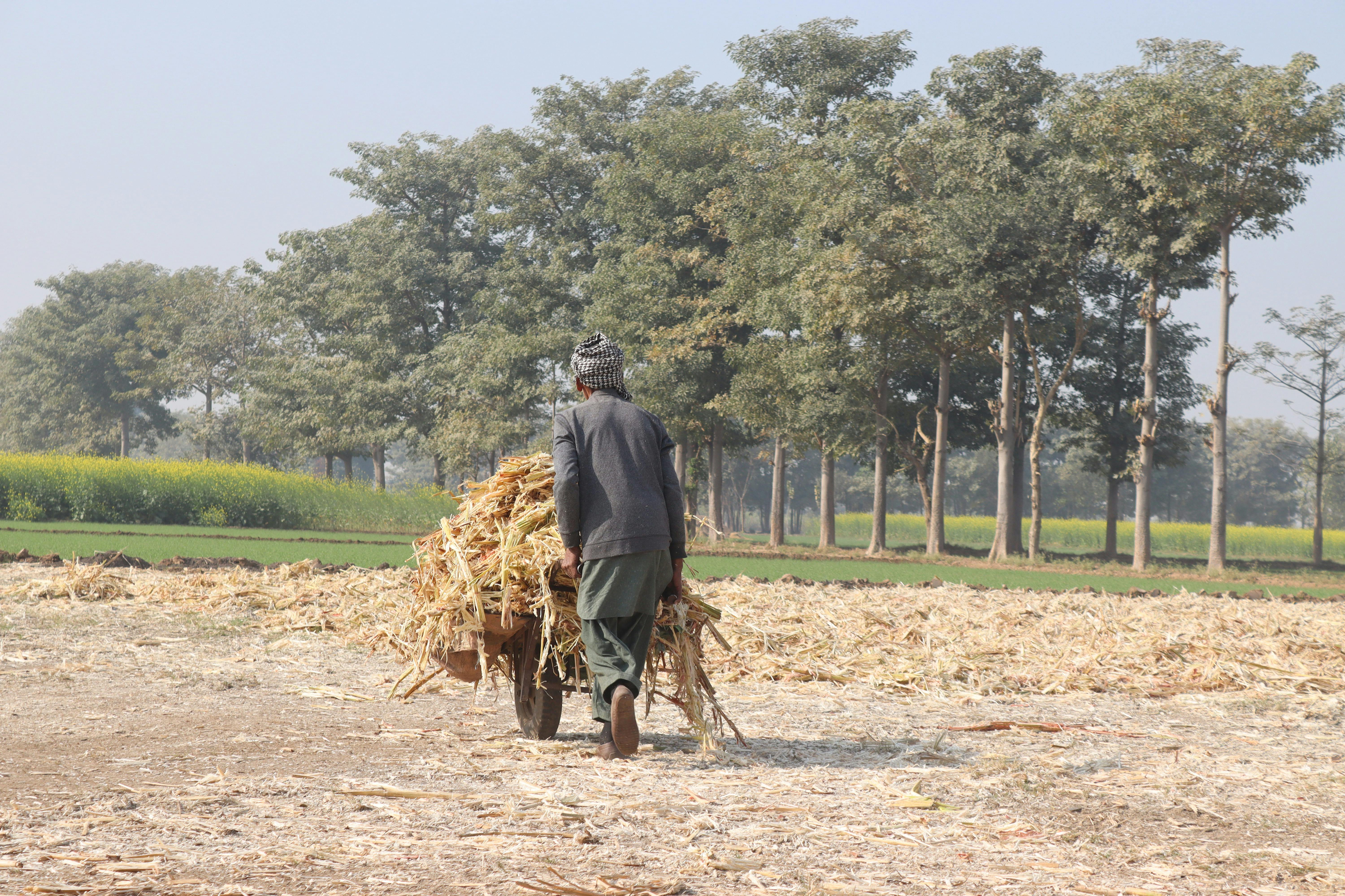 Many farmers utilize life insurance for farm financing — Photo by Dr Photographer on Pexels