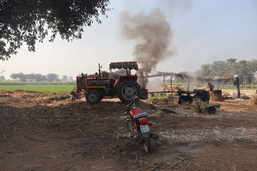 Free Man using a traditional setup with a tractor to extract sugarcane juice in a rural field. Stock Photo