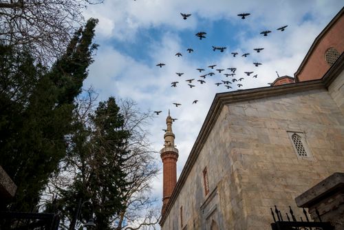Free Flock of birds flying over a historic mosque's minaret on a clear day, showcasing stunning architecture. Stock Photo