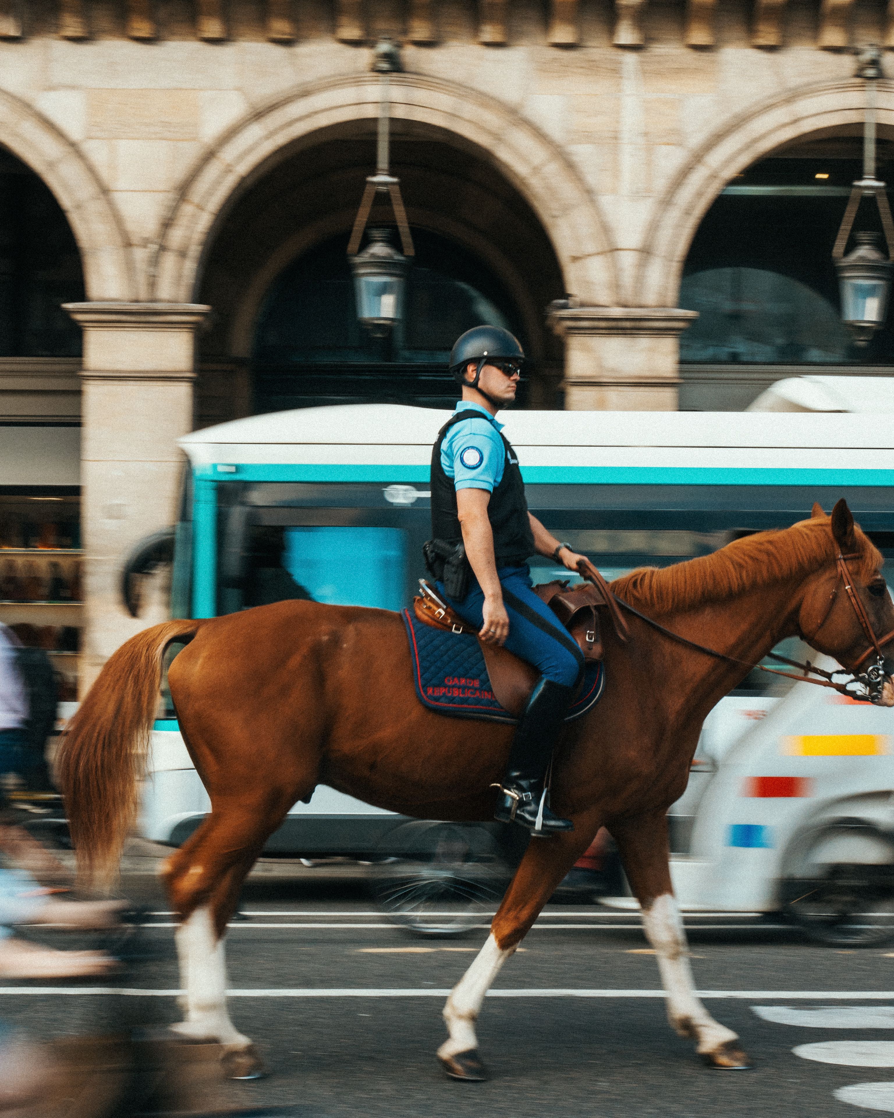 Police Officer Riding a Horse · Free Stock Photo