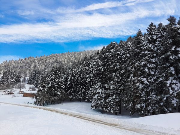 Winter Forest Cabins jigsaw puzzle