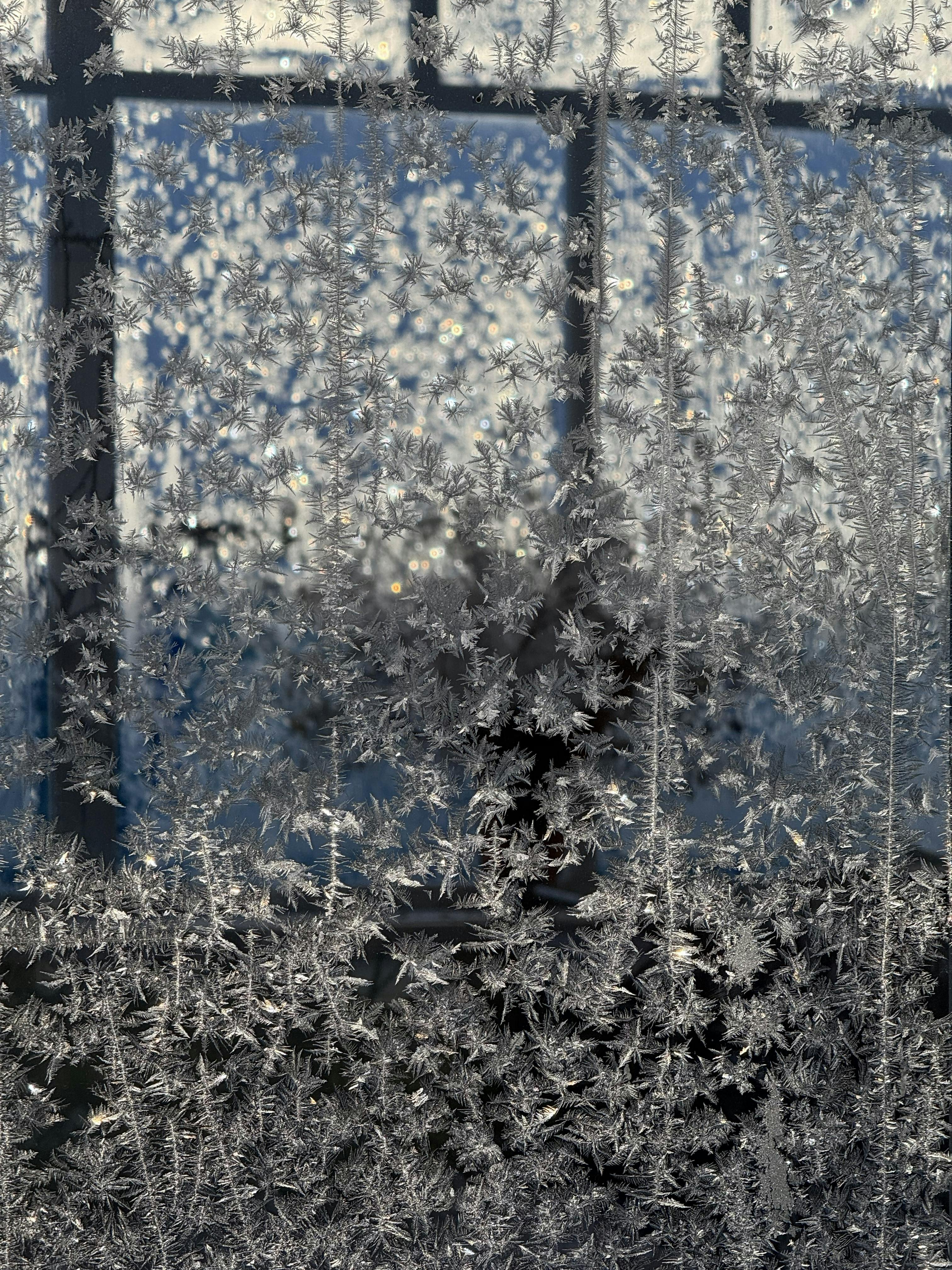 grátis Vista detalhada da formação de gelo em uma janela, criando um padrão gelado natural e artístico. Foto profissional