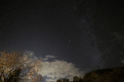 Free A breathtaking view of the night sky filled with stars over bare trees in Greece. Stock Photo