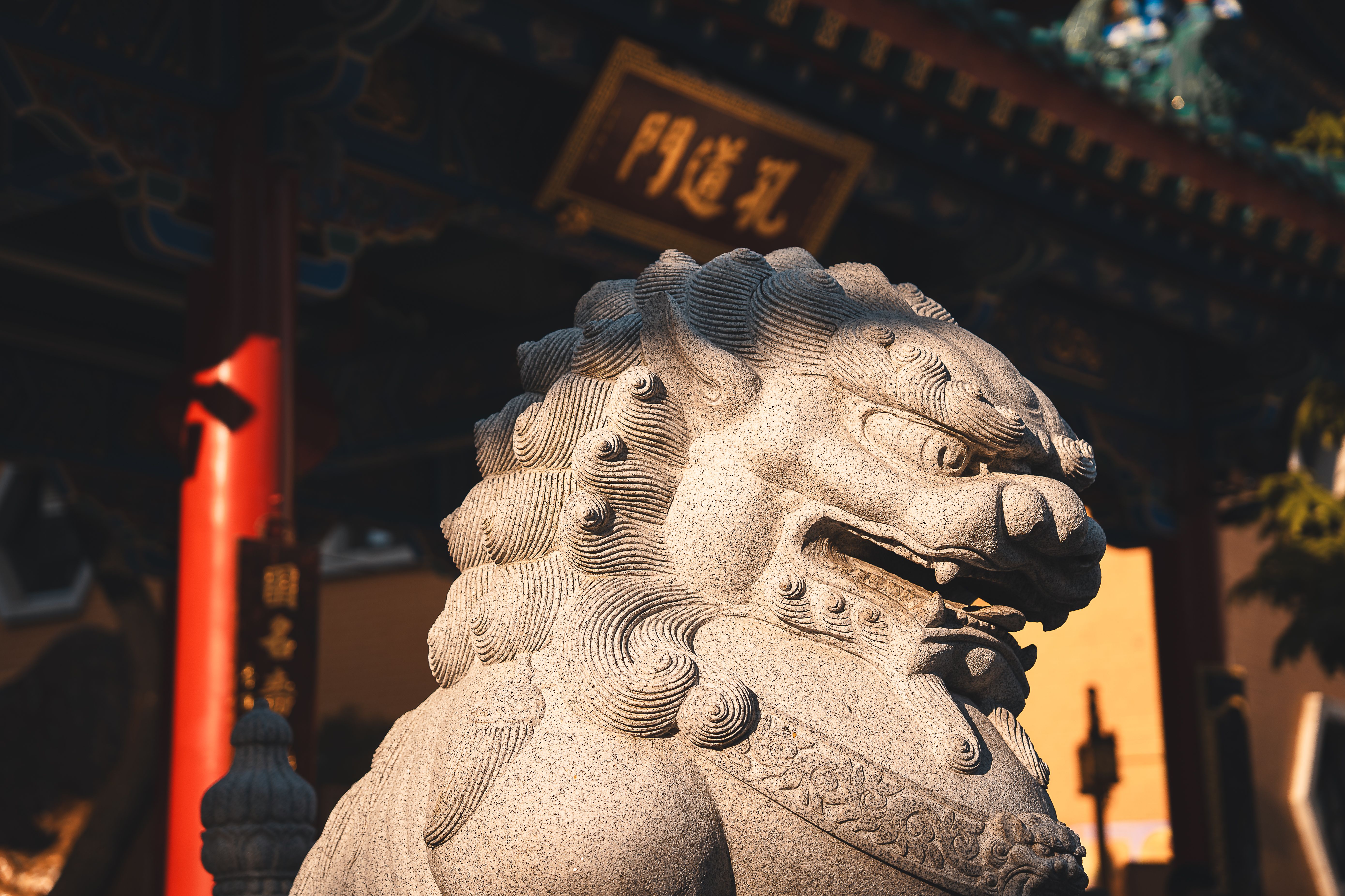Photo by Willian Justen de Vasconcellos on Pexels