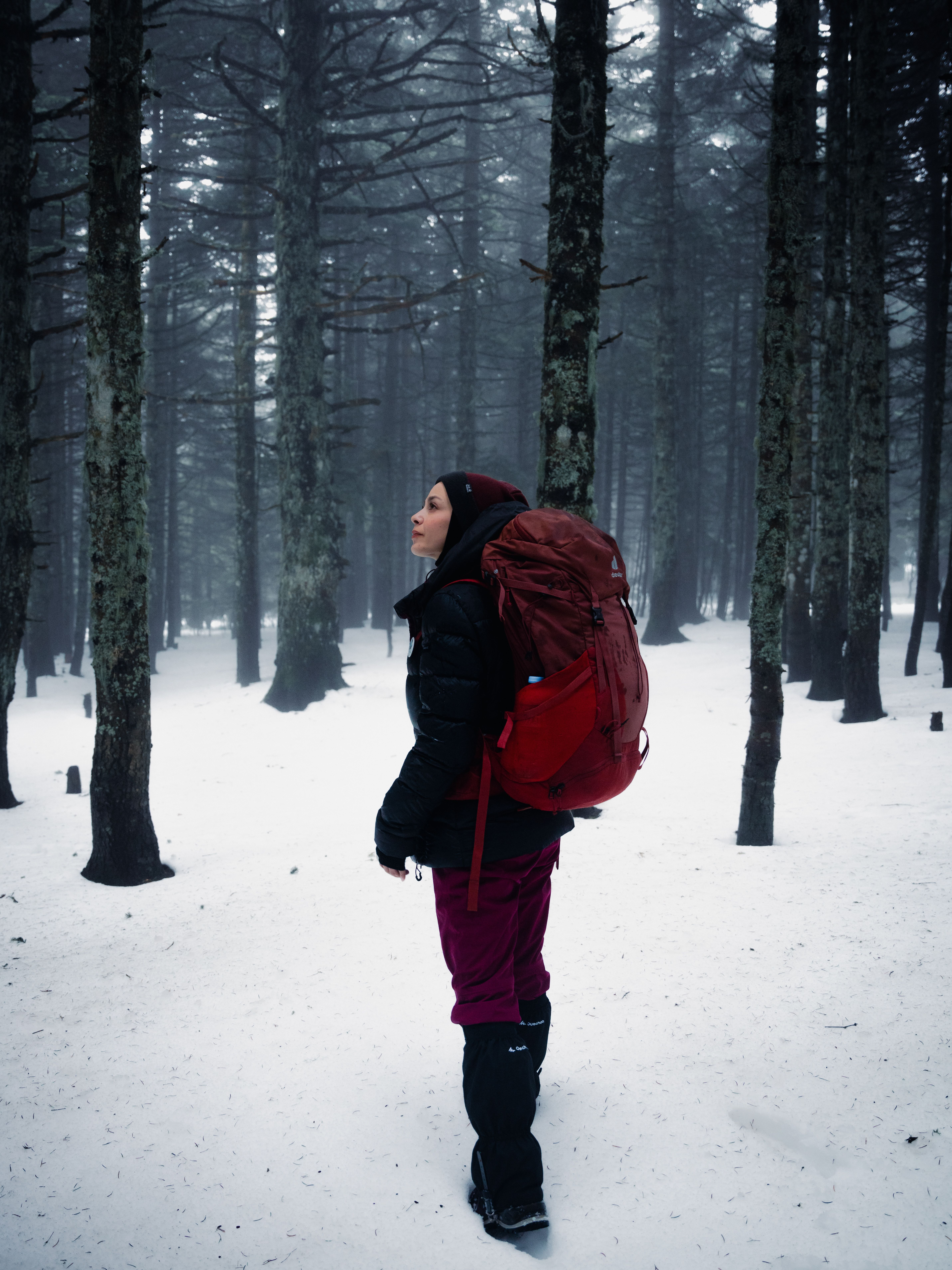 Woman hiking with backpack in snowy winter forest, serene and adventurous.