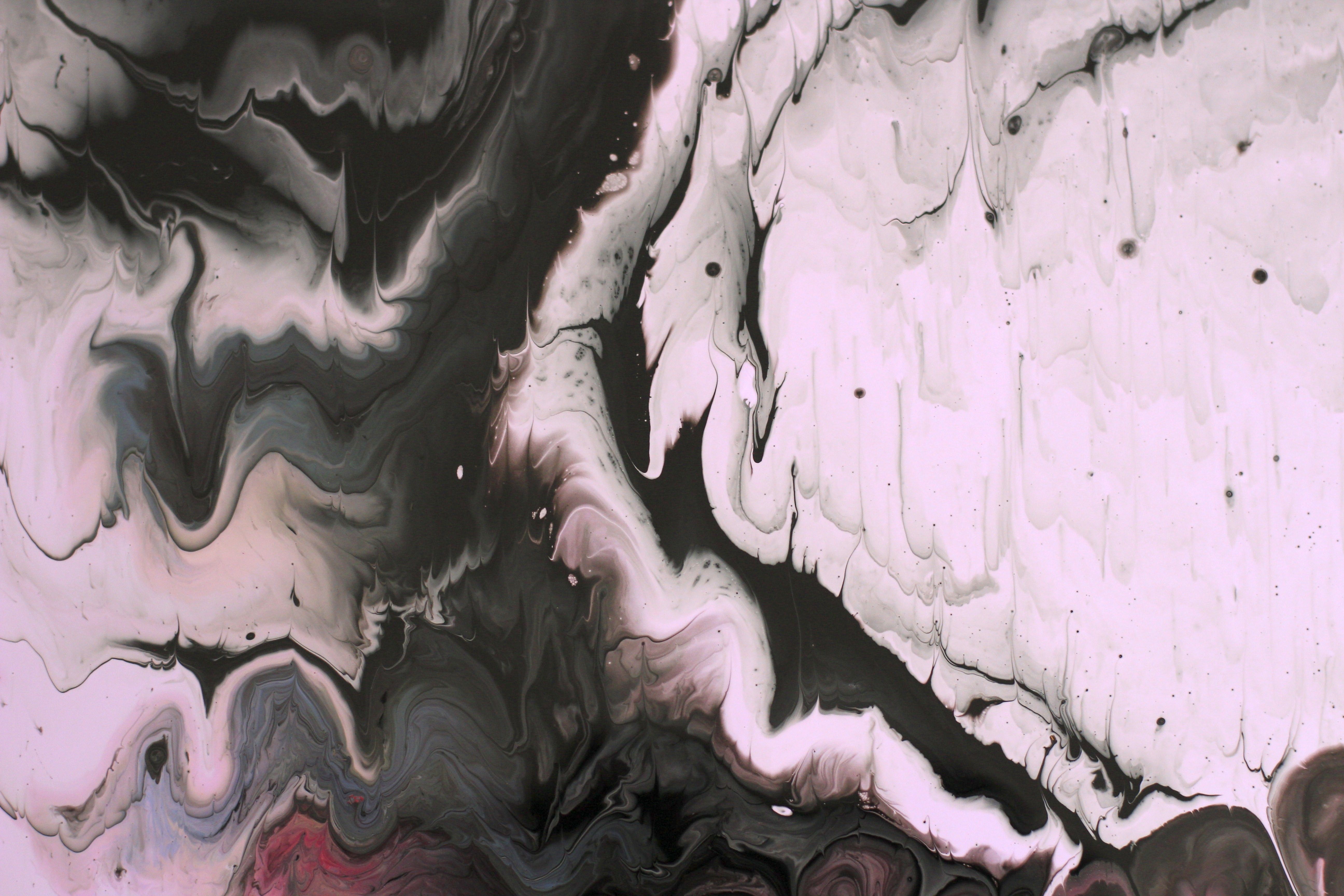 Abstract Black and White Fluid Art Design · Free Stock Photo