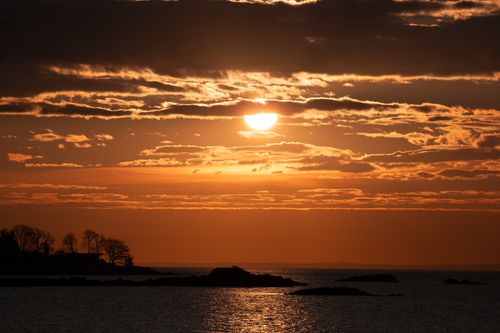 Free A breathtaking sunrise at Cove Island Park, Stamford, Connecticut, capturing the serene beauty of the winter morning. Stock Photo