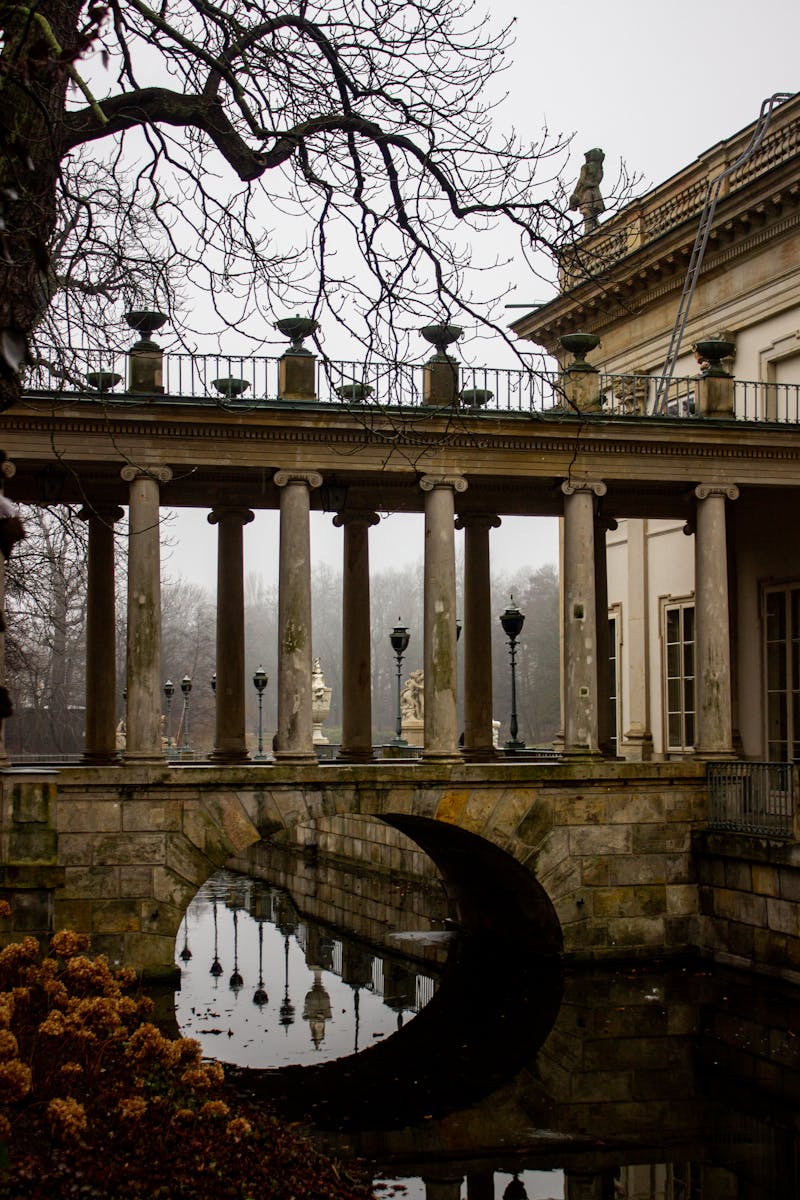 Наталья Севрук