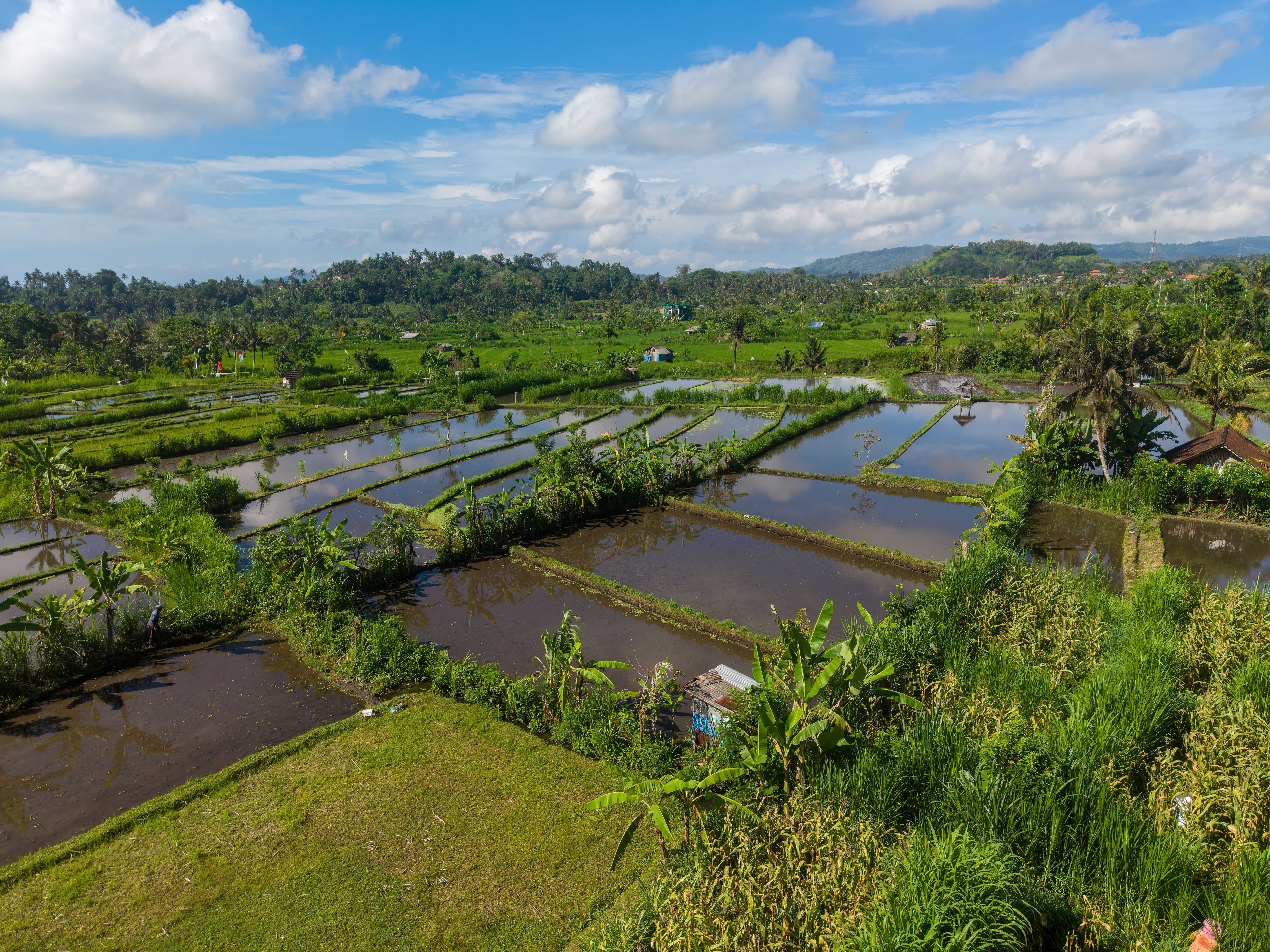 Aerial View of Rice Terraces in Bali, Indonesia · Free Stock Photo