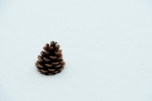 Lone pine cone resting on a pristine white snow surface, capturing winter's solitude.