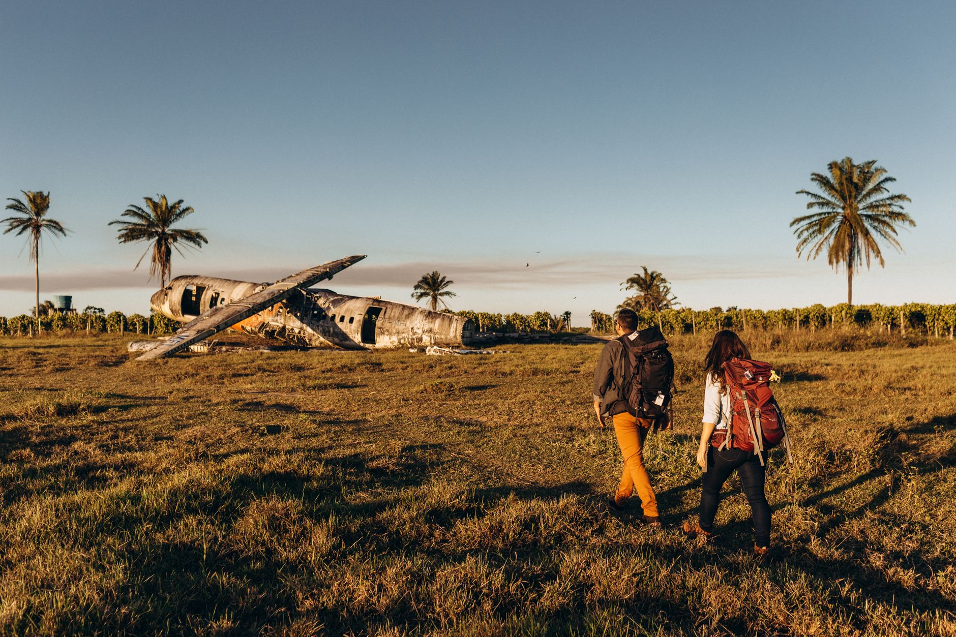 Two adventurers walking toward an abandoned plane in a grassy field with palm trees.