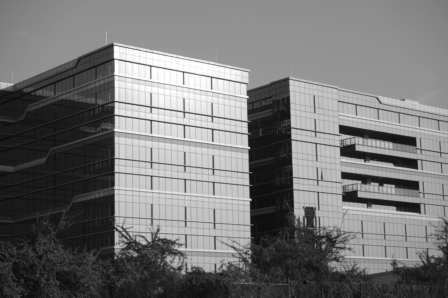 Embassy REIT Bets On Growth Amid Debt Leasing Strength