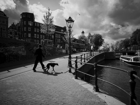 amsterdam canal dog walking