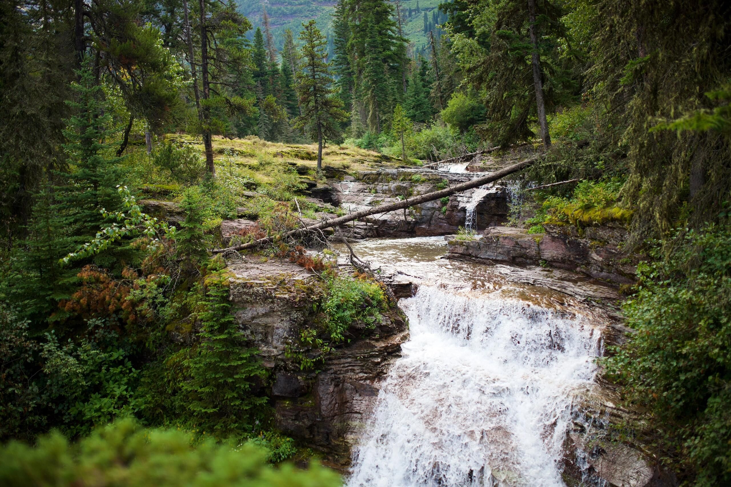 Serene Waterfall in Lush Forest Setting · Free Stock Photo