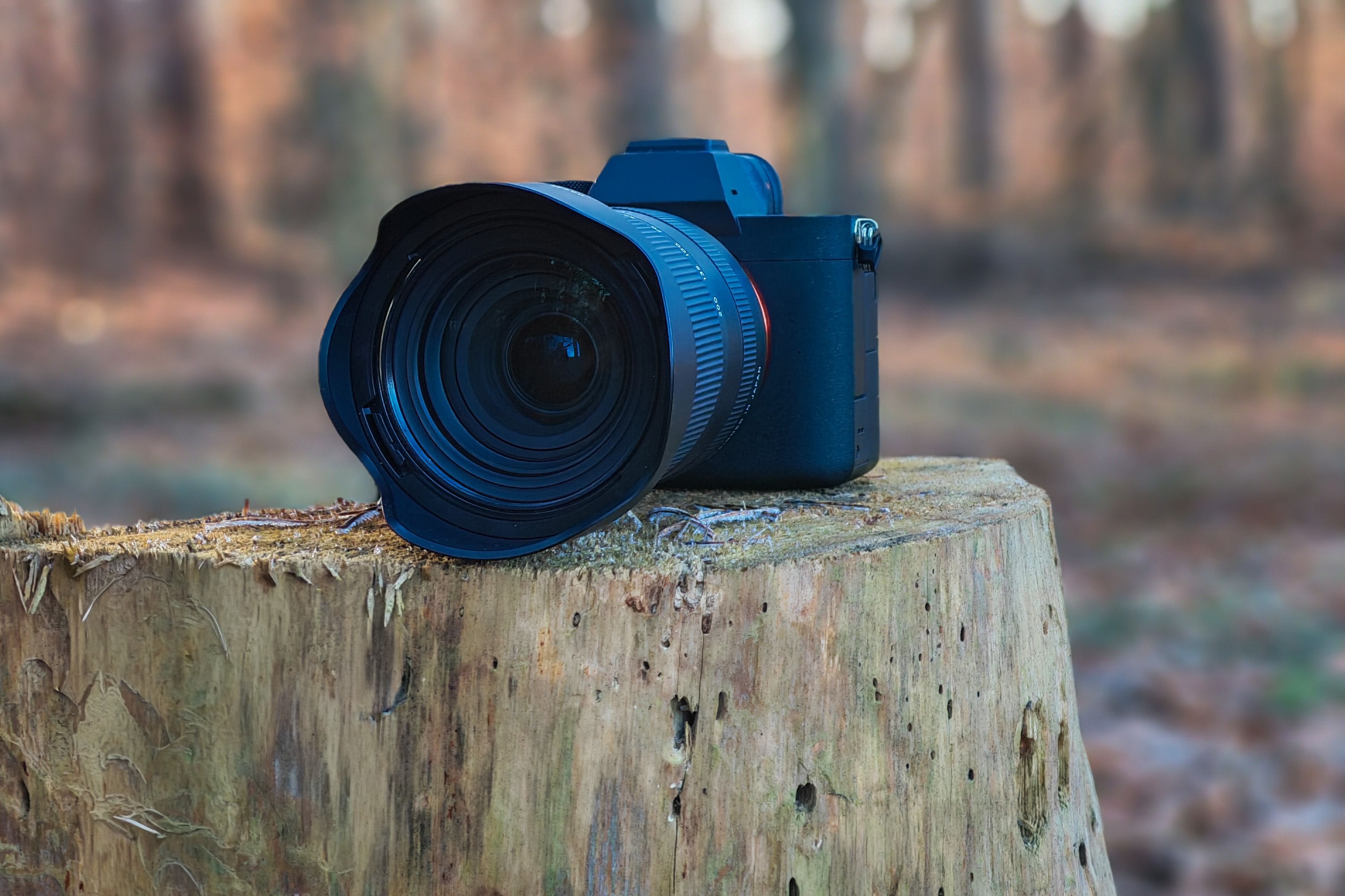 gear reviews — Photo by Gundula Vogel on Pexels