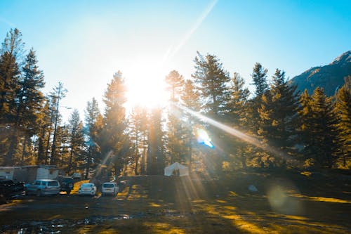 Campsite in Woods