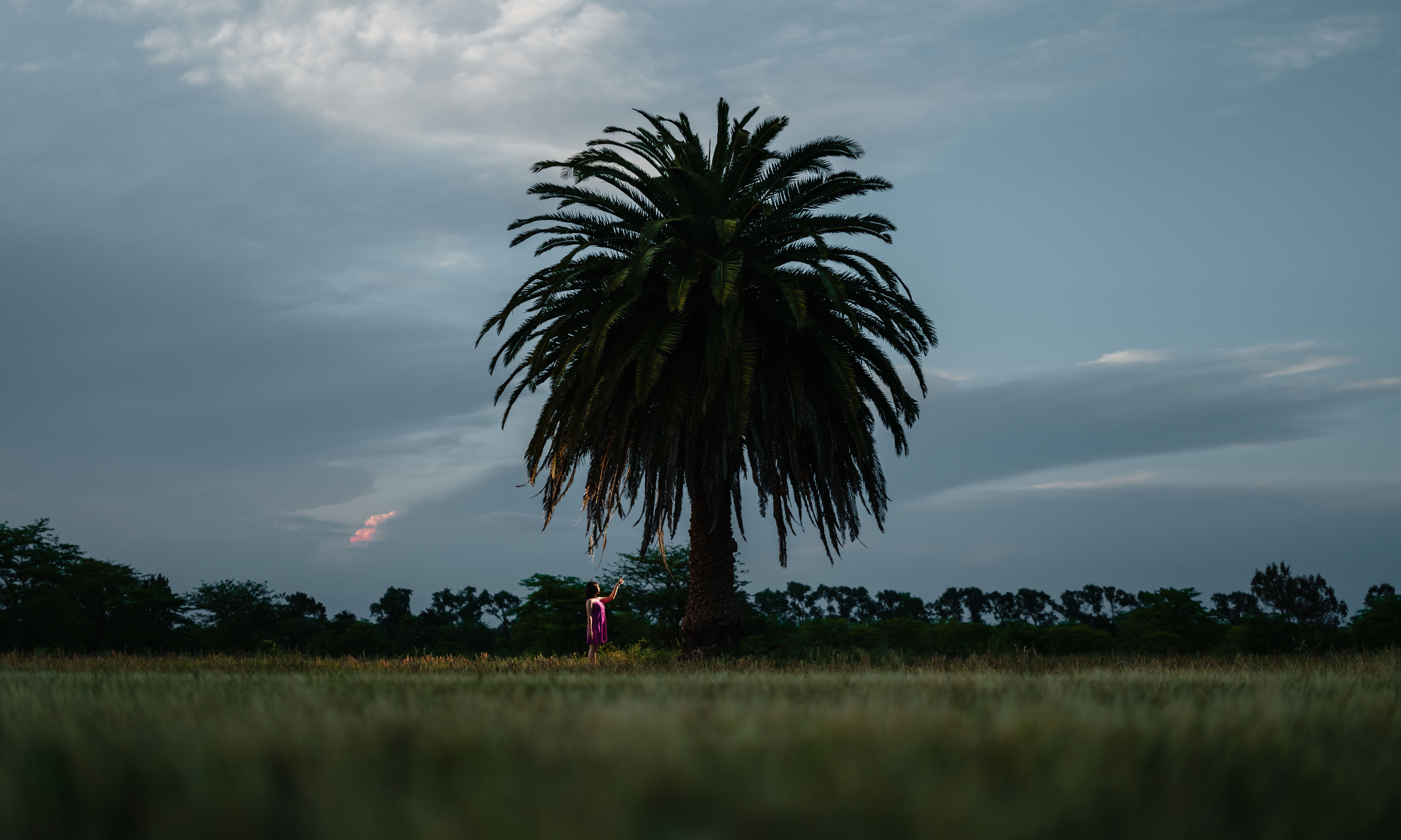 A person stands by a palm tree during twilight in Villa Elisa, Argentina, creating a serene silhouette.