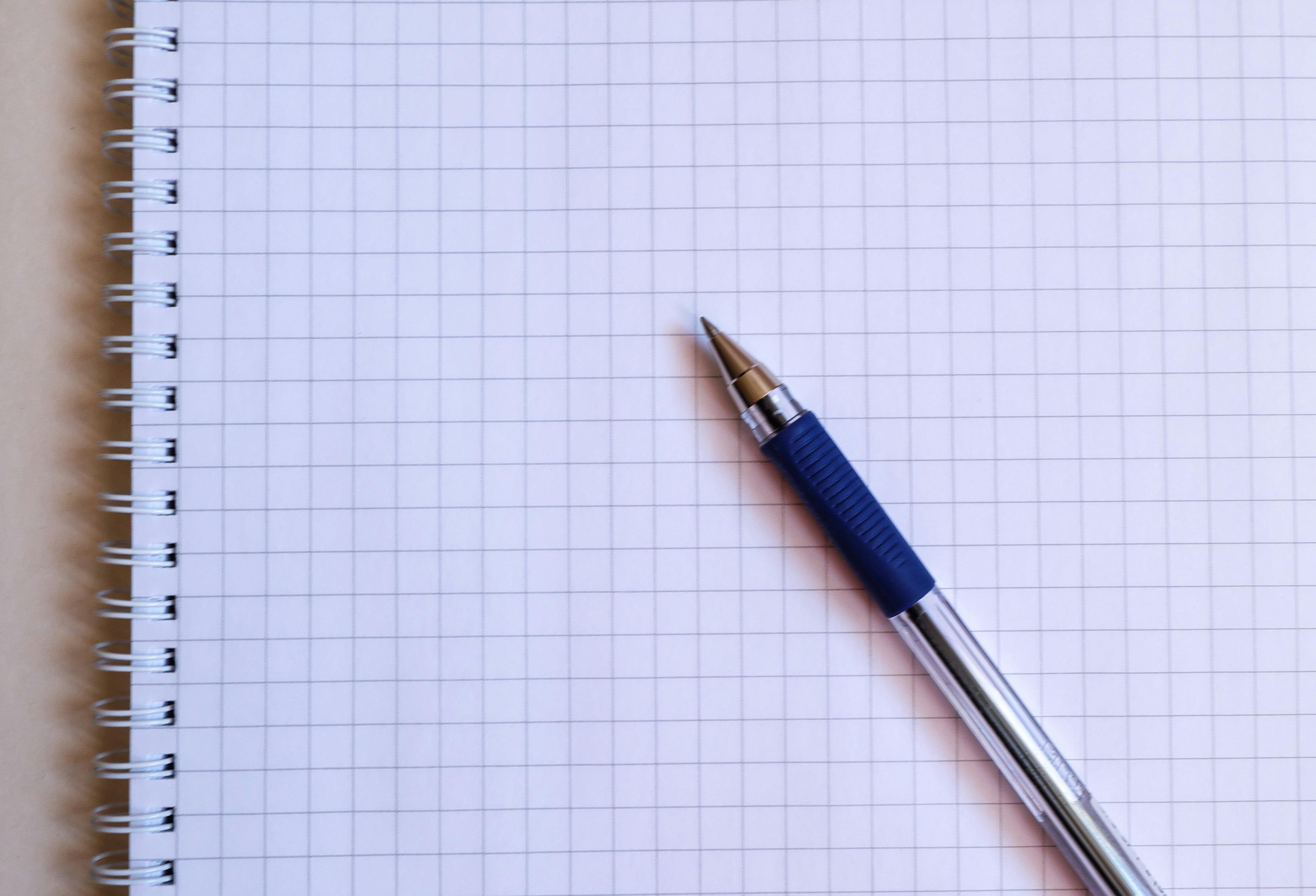 essay
