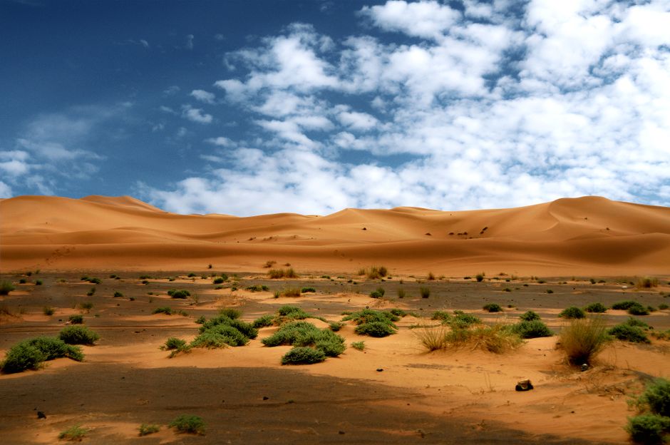 Golden sand dunes of Erg Chebbi in the Sahara Desert, Morocco, at sunset