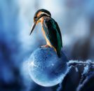 Compose Images