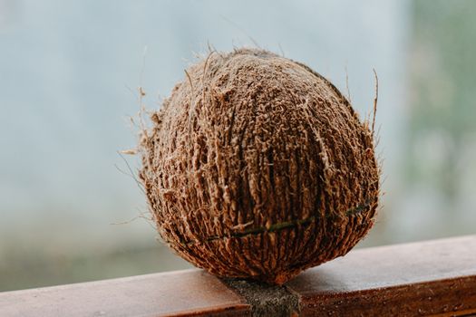 Detailed view of a single coconut with a rough texture on a smooth surface.