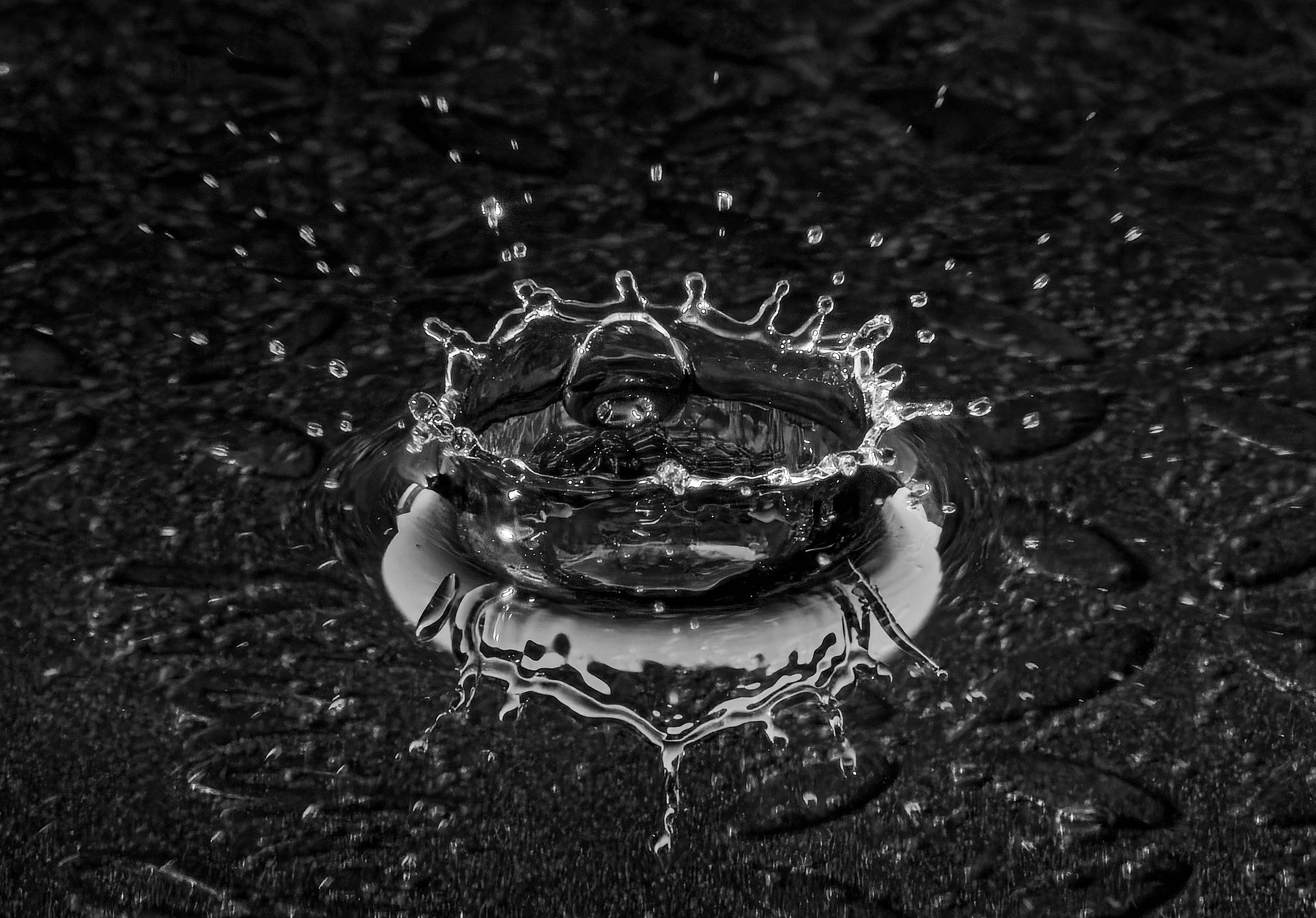Black and White Water Splash Captured Mid-Air · Free Stock Photo